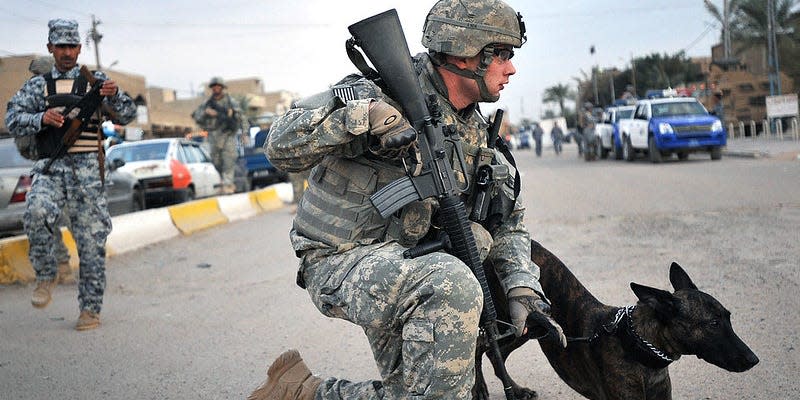 US soldier with a military working dog