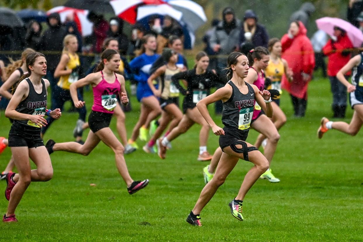 See the Greater Lansing high school girls cross country Dream Team, all