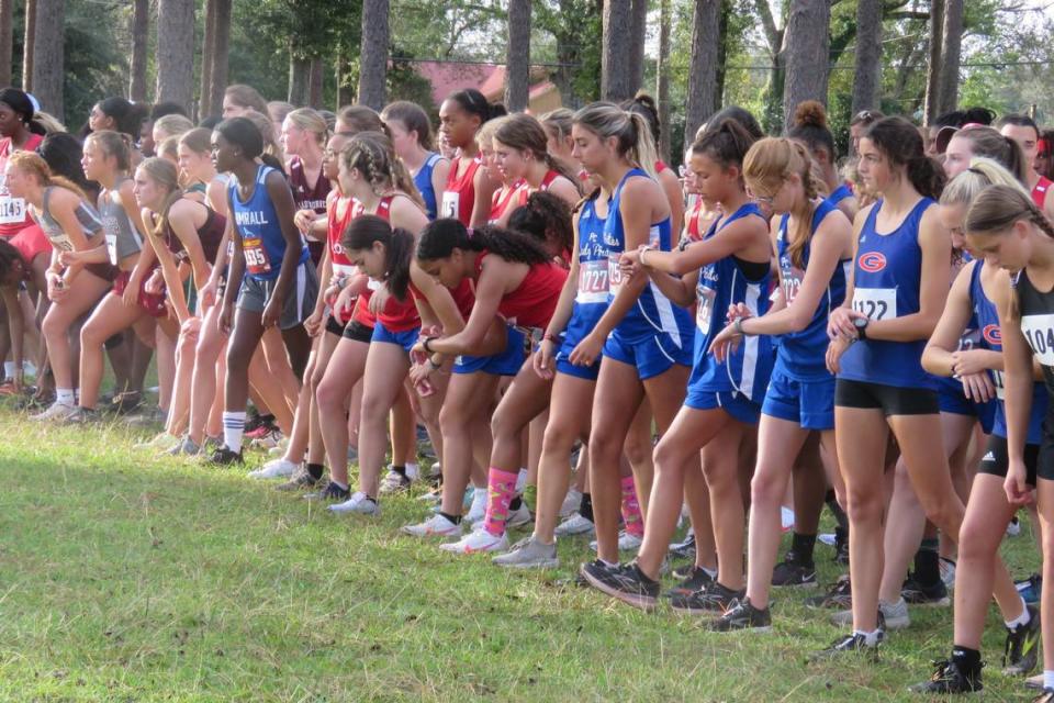 Pascagoula High School cross country runners wait for the starting gun at the regional cross country meet on Oct. 26, 2021.