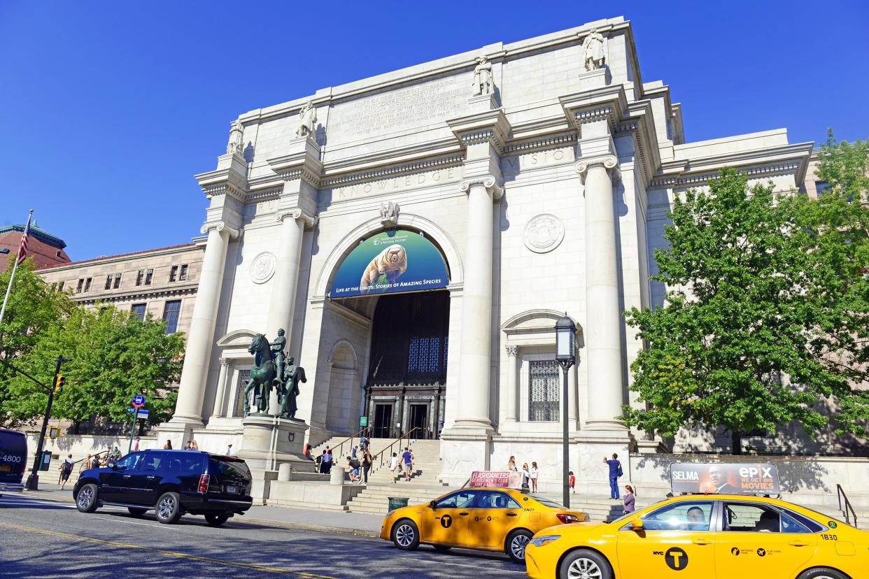 American Museum of Natural History in Manhattan
