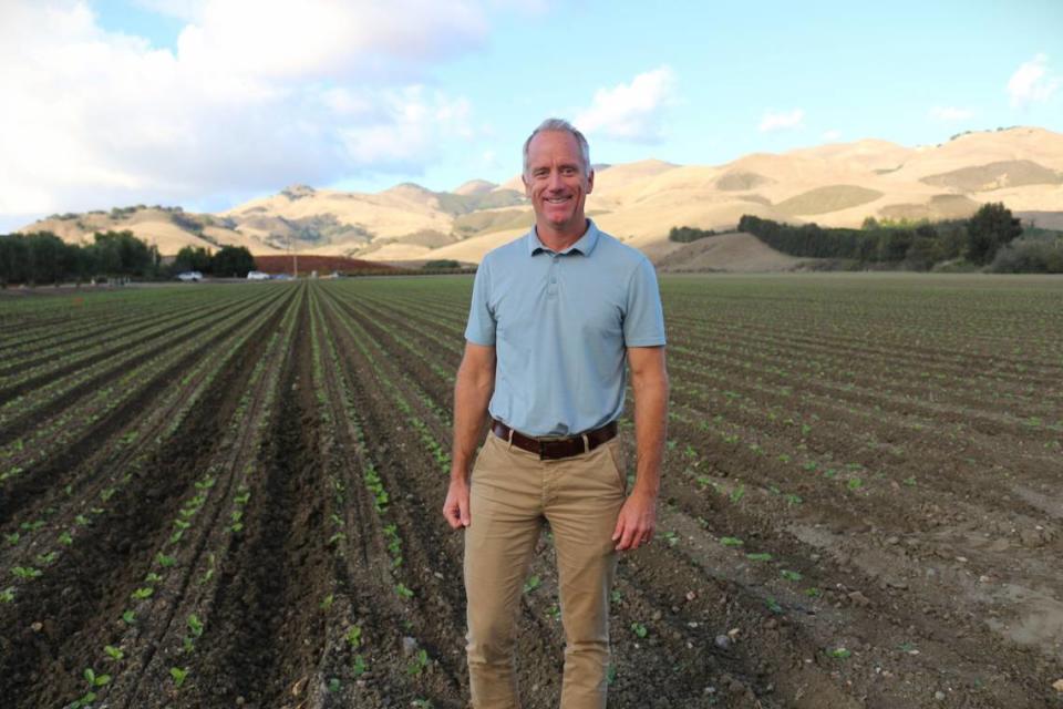 Ryan Talley, de Talley Farms, entre coles de napa en un campo cerca de Arroyo Grande, California, el 30 de noviembre de 2023.