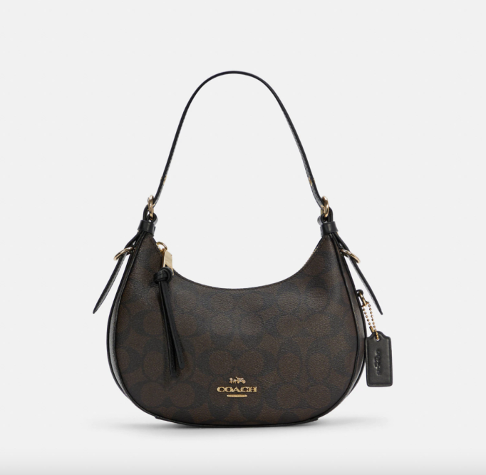 COACH Bailey Hobo Bag In Signature Canvas