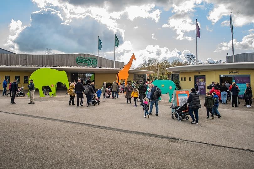 Chester Zoo