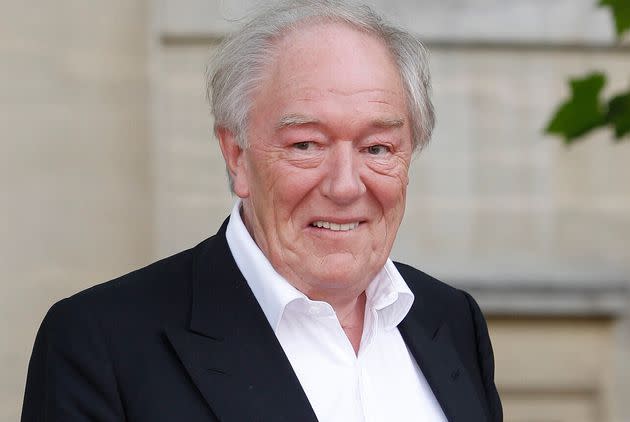 Actor Michael Gambon, who played Albus Dumbledore in six of the eight 