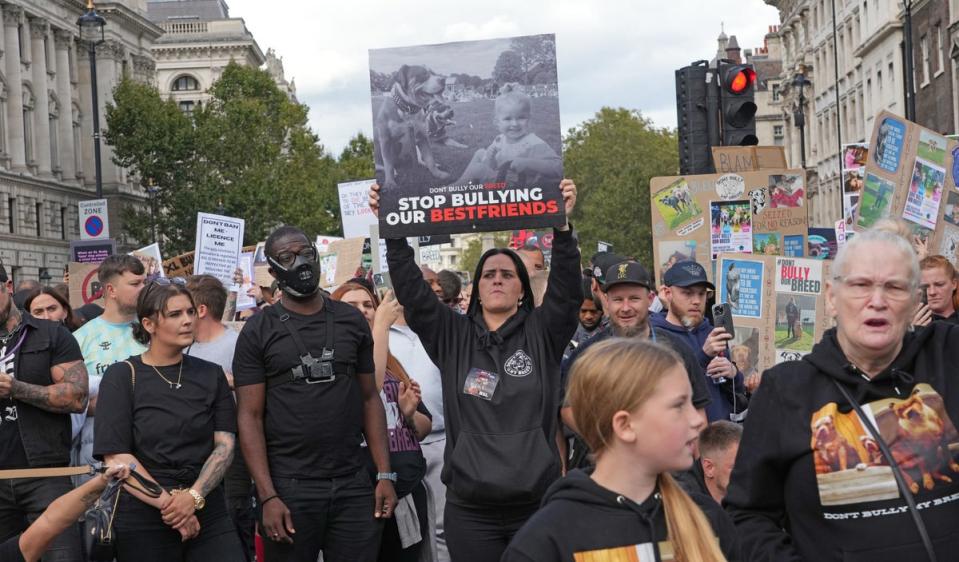 The ban on XL bullies has been met with strong opposition. Last month, hundreds joined a central London protest over the new legislation (PA)