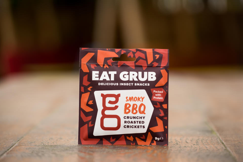 Companies are started to sell bugs as everyday snacks. Photo: Eat Grub