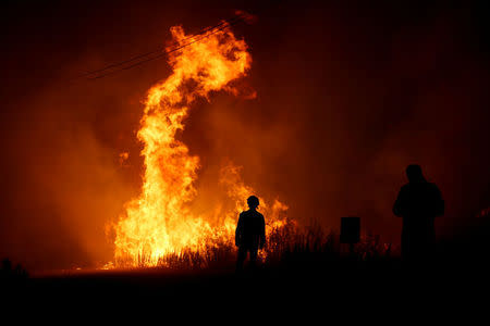 Firefighters work to put out a forest fire next to the village of Macao, near Castelo Branco, Portugal, July 26, 2017. REUTERS/Rafael Marchante