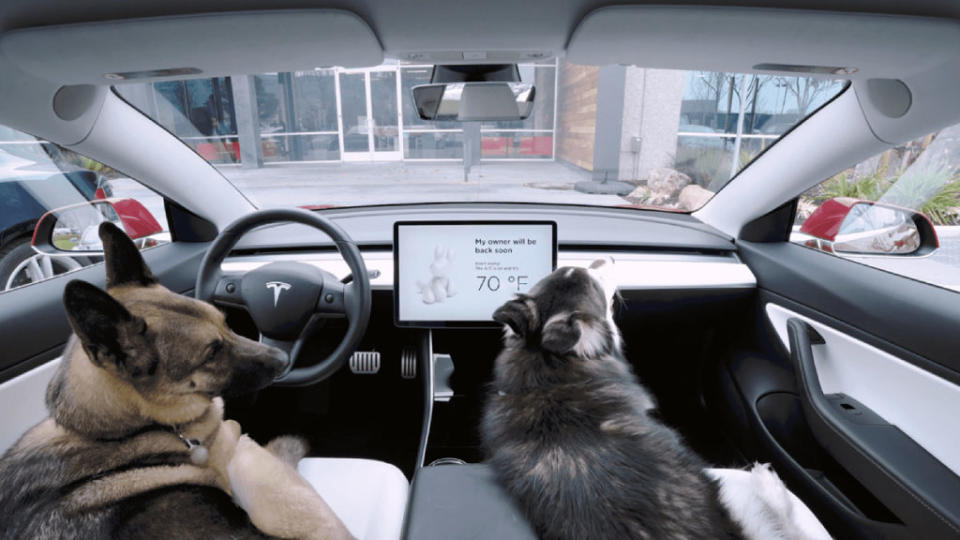 Tesla旗下車款配備有寵物模式。(圖片來源/ Tesla)