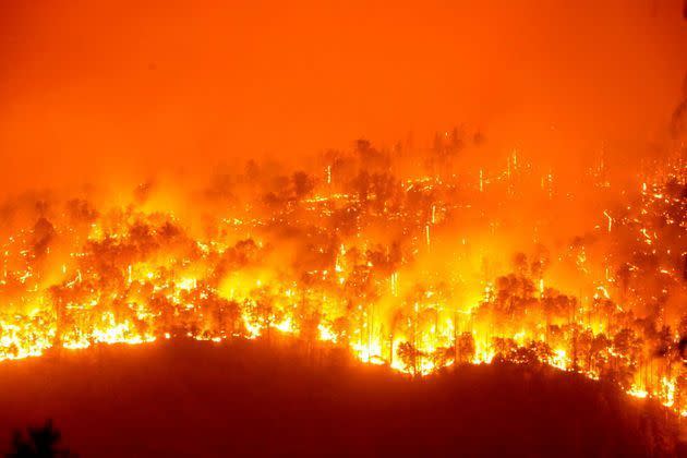 <p>Les flammes du Windy Fire dans la forêt nationale de Sequoia.</p>