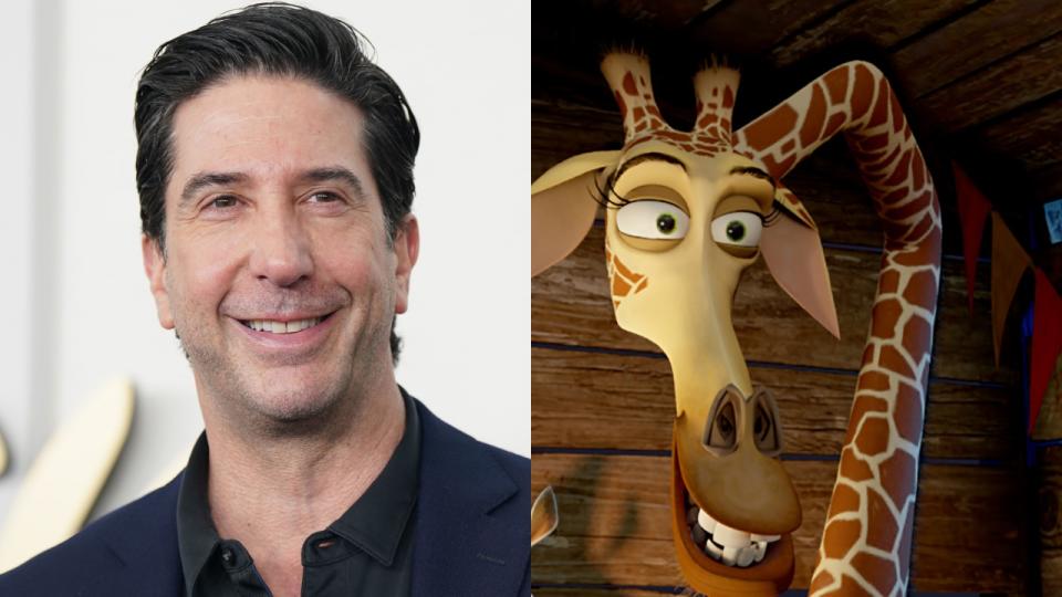 David Schwimmer in “Madagascar”