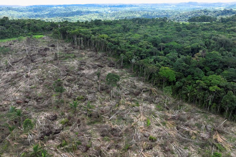 Drone footage shows deforestation in Brazilian Amazon