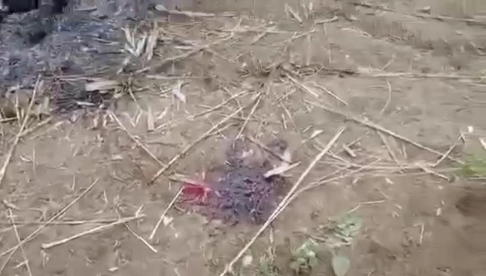 In this image from video taken Dec. 7, 2021, bloodstain is seen on the ground near charred corpses in Done Taw village in the Sagaing region of Myanmar. Outrage spread on social media in Myanmar on Wednesday over images and accounts of the alleged killing and burning of 11 villagers captured by government troops in the country's northwest. (AP Photo)