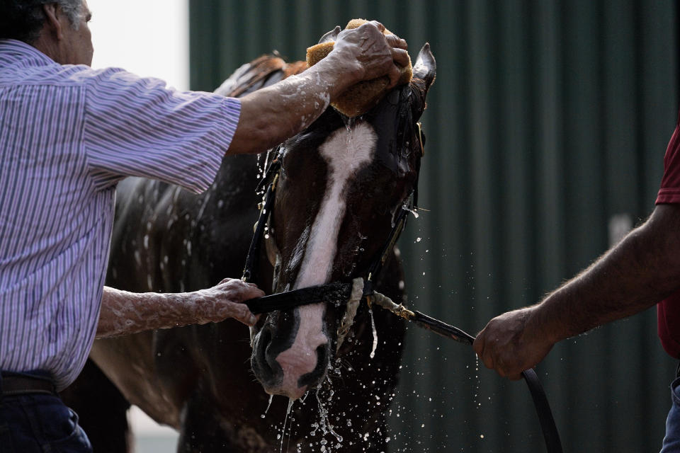 Preakness Stakes entrant Mage is given a bath after a workout ahead of the 148th running of the Preakness Stakes horse race at Pimlico Race Course, Wednesday, May 17, 2023, in Baltimore. (AP Photo/Julio Cortez)