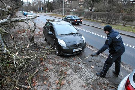 A police officer inspects the site where a car was hit by a fallen tree after strong winds caused by hurricane-force Xaver slammed into Szczecin, northern-western Poland, December 6, 2013. REUTERS/Cezary Aszkielowicz/Agencja Gazeta