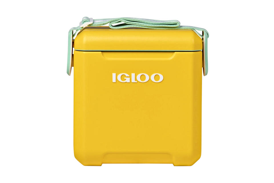 For the Host: Statement Cooler