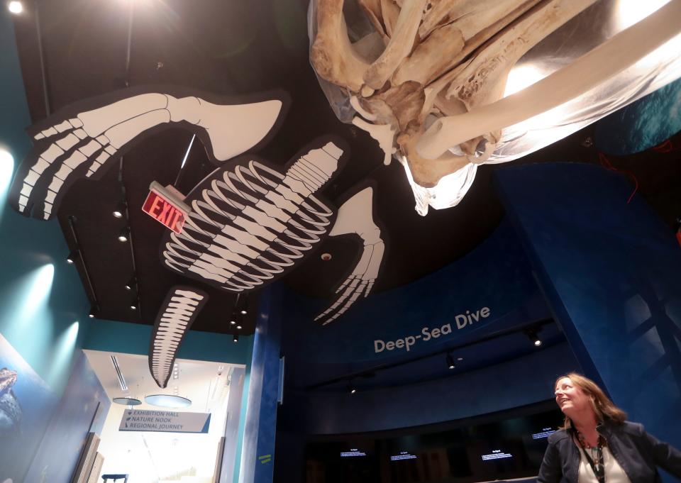 Helen Bilinski director of exhibits at the Delaware Museum of Nature and Science in Greenville, stands under a ceiling-mounted display of whale bones during renovations on April 5, 2022.