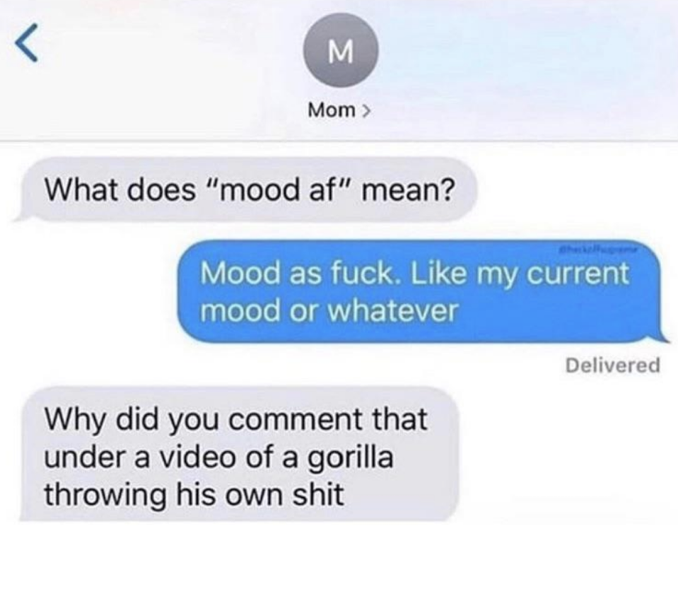 A parent asks what "mood af" means, the child says "mood as fuck," and the parent asks "why did you comment that under a video of a gorilla throwing his own shit?"