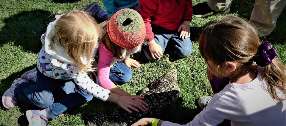 Wildlife Encounters will have its animals on exhibit at the Apple Harvest Day KidZone in Henry Law Park.