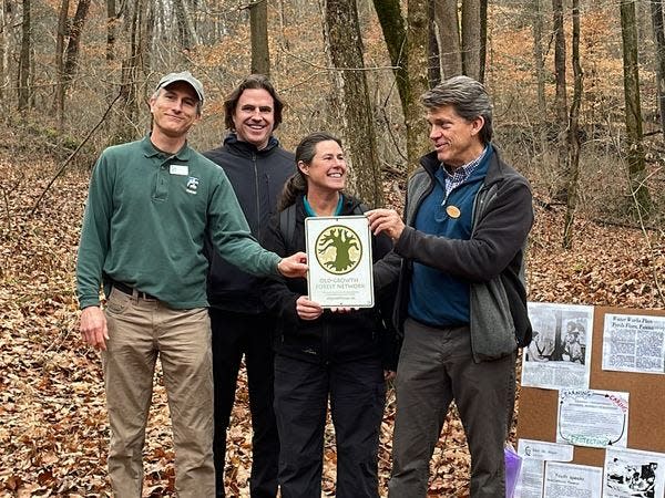 Parks Director Jason Barron, second from left, joins Parks employees in California Woods in December as the site became the 23rd old-growth forest dedicated in Ohio. California Woods forest, located on the homelands of the Myaamia and Shawnee peoples, has some of the tallest trees in the state.