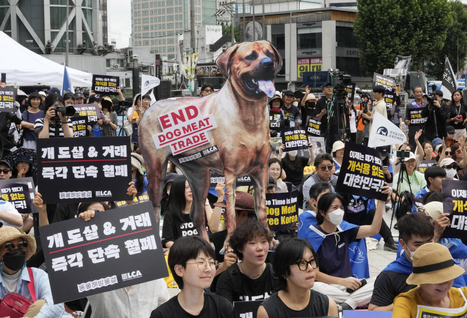 FILE - Animal rights activists stage a rally opposing South Korea's traditional culture of eating dog meat in Seoul, South Korea on July 8, 2023. South Korea’s parliament on Tuesday, Jan. 9, 2024 has endorsed landmark legislation outlawing dog meat consumption, a centuries-old practice. (AP Photo/Ahn Young-joon, File)