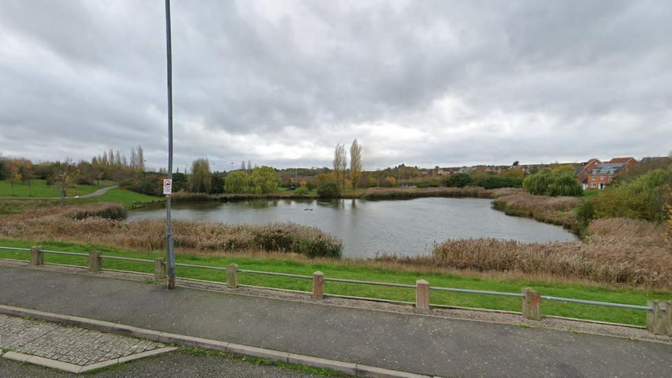 Small lake with trees and grass around it