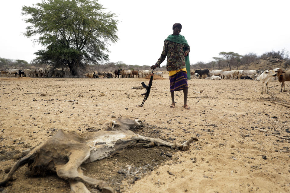 Un hombre de samburu se ve junto al cadáver de un burro mientras patrulla para proteger su ganado del robo en el condado de Samburu, Kenia, el sábado 15 de octubre de 2022. Encontrar agua subterránea en el Este de África sería una enorme ayuda para un región que trata de calmar su sed. (AP Foto/Brian Inganga)