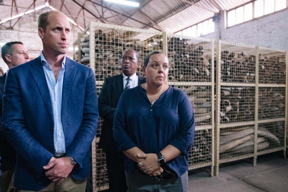 TANZANIA - OCTOBER 10: In this undated handout photo issued by Kensington Palace on October 10, 2018 to mark the launch of the Financial Taskforce,  Prince William, Duke of Cambridge and Naomi Doak from United for Wildlife, and Head of Conservation Programmes at the Royal Foundation, visit Tanzania. The Duke of Cambridge was granted a rare visit to the ivory stockpile, which has been built up over the last 23 years and is believed to be the largest ivory stockpile in the world. (Photo by Kensington Palace via Getty Images) NEWS EDITORIAL USE ONLY. NO COMMERCIAL USE. NO MERCHANDISING, ADVERTISING, SOUVENIRS, MEMORABILIA or COLOURABLY SIMILAR.