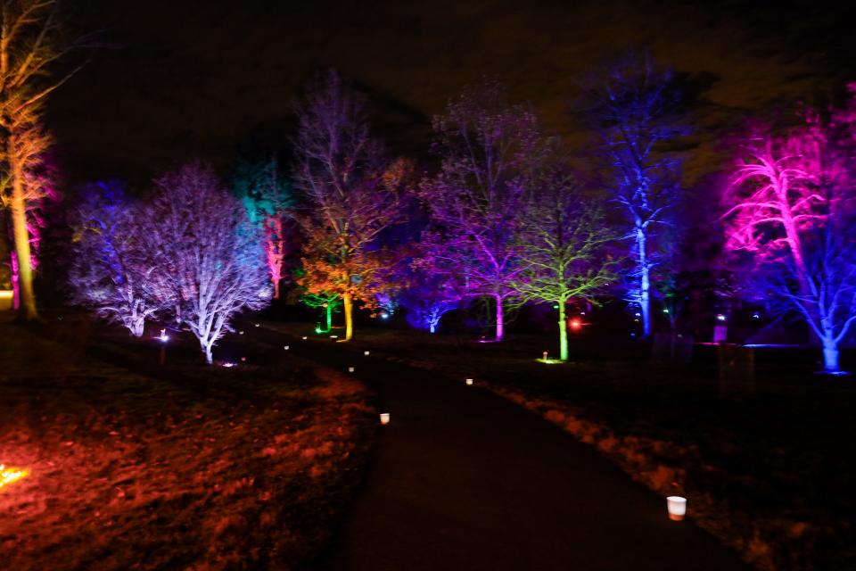 Visit Dawes Arboretum for a nighttime walk.