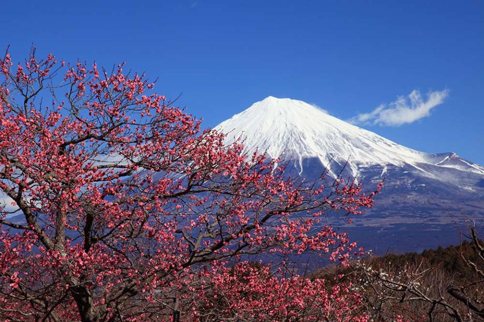 岩本山公園（Image Source : Getty Creative/iStockphoto）