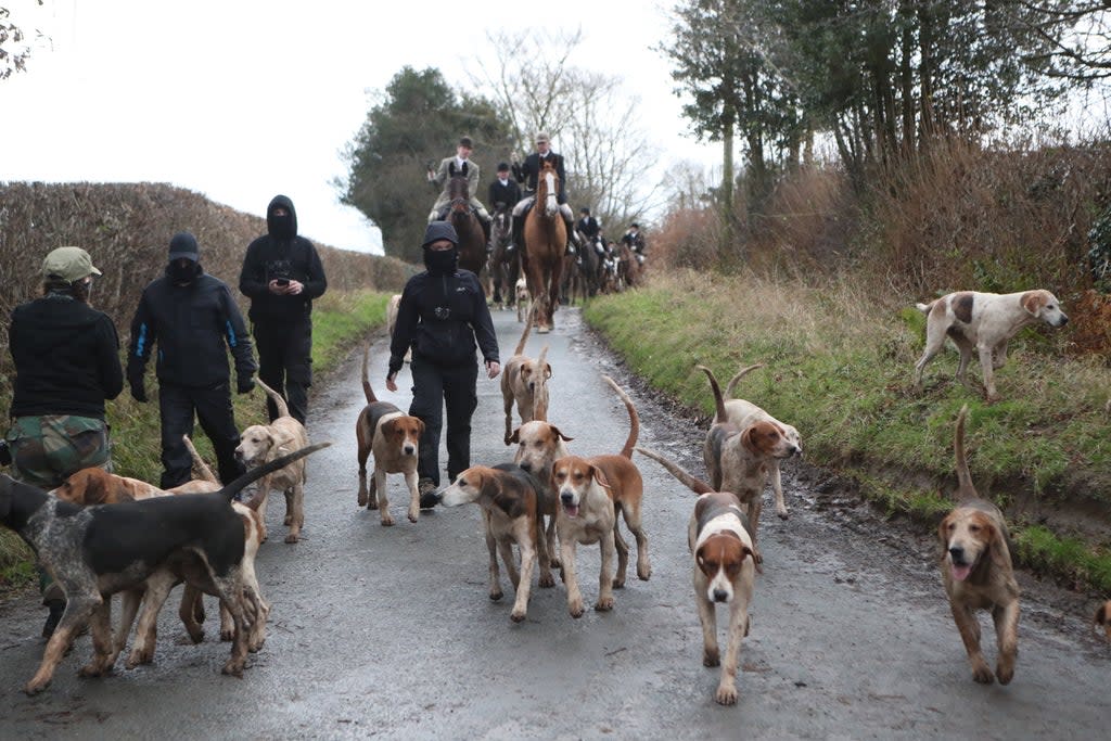 Trail hunting simulates a traditional hunt without foxes being deliberately chased or killed by laying an artificial scent for riders (Danny Lawson/PA) (PA Archive)