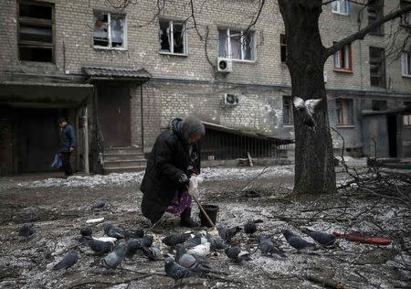 An elderly woman feeds pigeons near her damaged house in Debaltseve, eastern Ukraine, February 5, 2015. REUTERS/Gleb Garanich