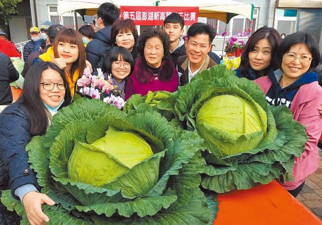 葉洪秋芬阿嬤蟬聯高麗菜王競賽「尚水獎」，大夥歡喜種菜，名符其實最正港「高麗菜家族」。（陳可文攝）