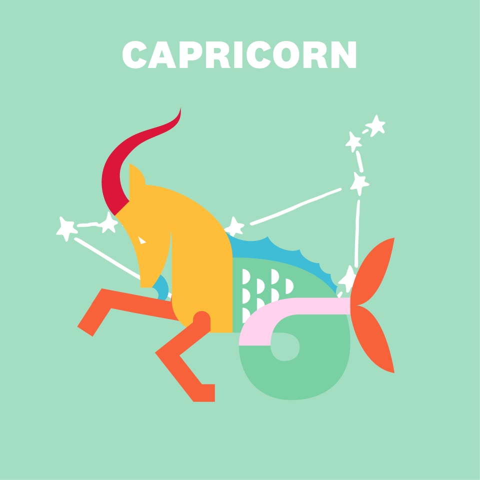 CAPRICORN (DECEMBER 22–JANUARY 19)