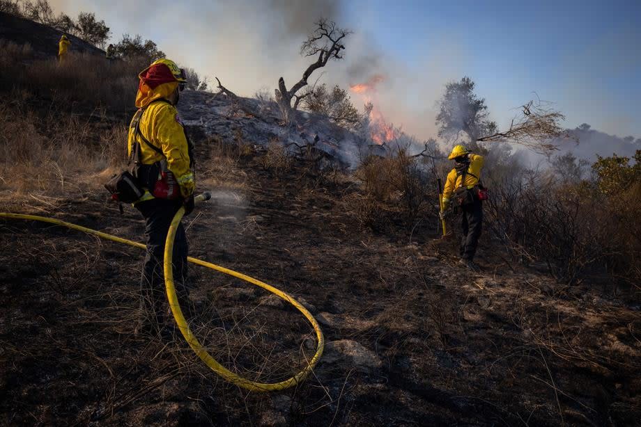 Firefighters work to extinguish flames on a hillside during the Bond Fire in Lake Forest, California (EPA-EFE)