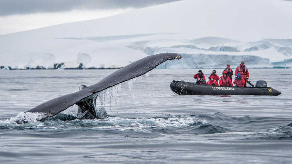 APT Antarctic Voyage