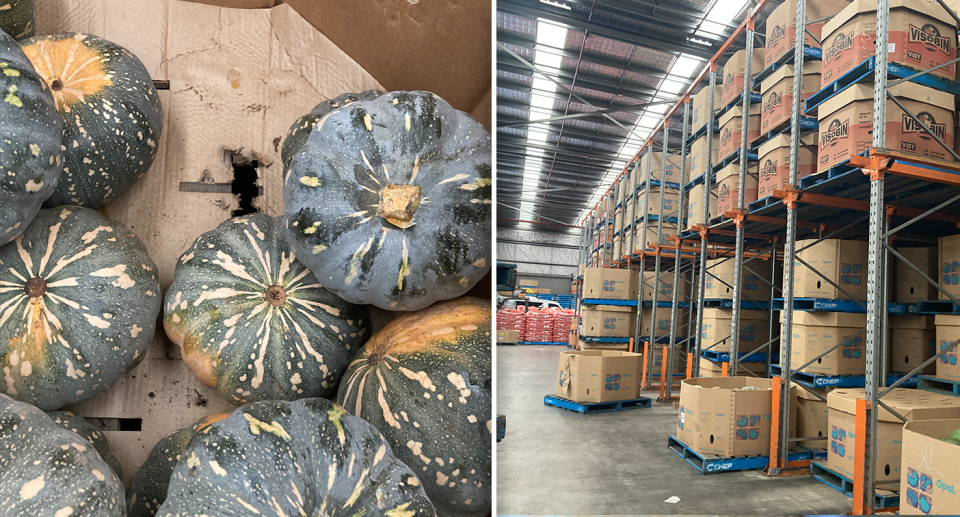 Left - The box of pumpkins that contained the quolls with a hole in it. Right - The warehouse where the quolls were discovered.