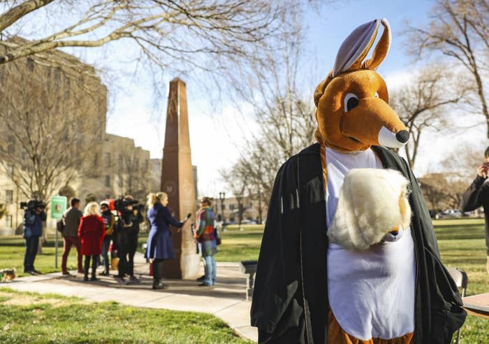 A protestor dressed in a kangaroo costume and judicial robes, mocking the hearing as a 