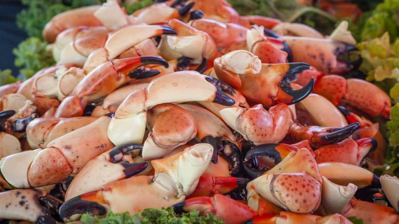 Pile of stone crabs