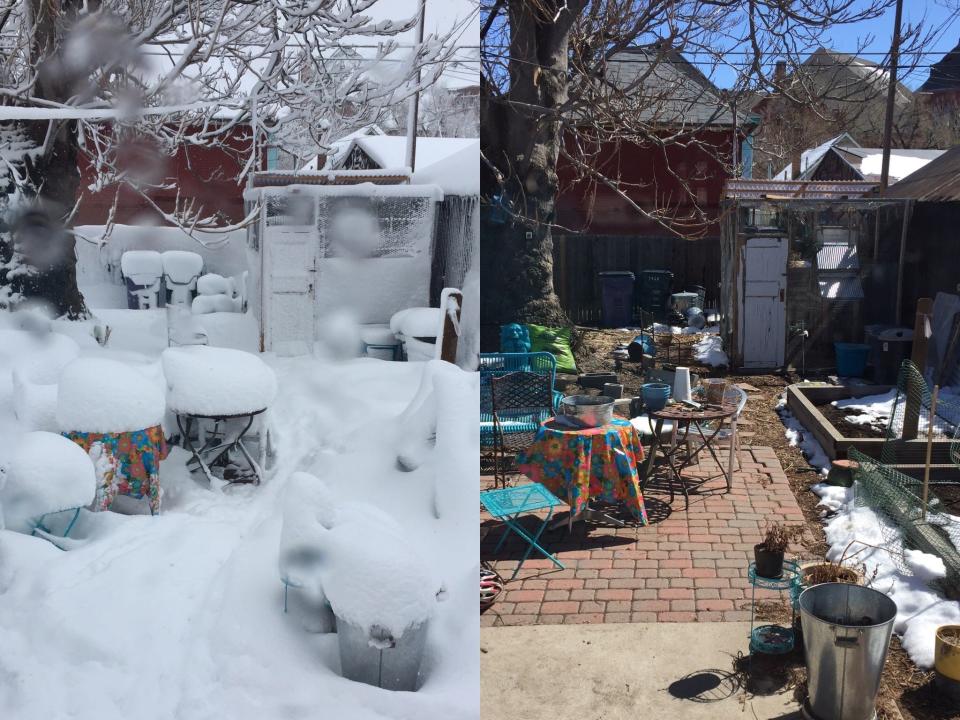 snow covered backyard (left) and sunny backyard (right)