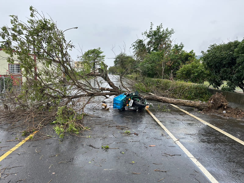 彰化大雨路樹傾倒  郵差遭砸中送醫不治 48歲孫姓郵差26日中午騎車行經彰化縣芬園鄉彰南路 一段時，路旁樹木疑傾倒壓中人車，孫姓郵差當場沒 有呼吸心跳，送醫不治。 （民眾提供） 中央社記者鄭維真傳真  113年4月26日 