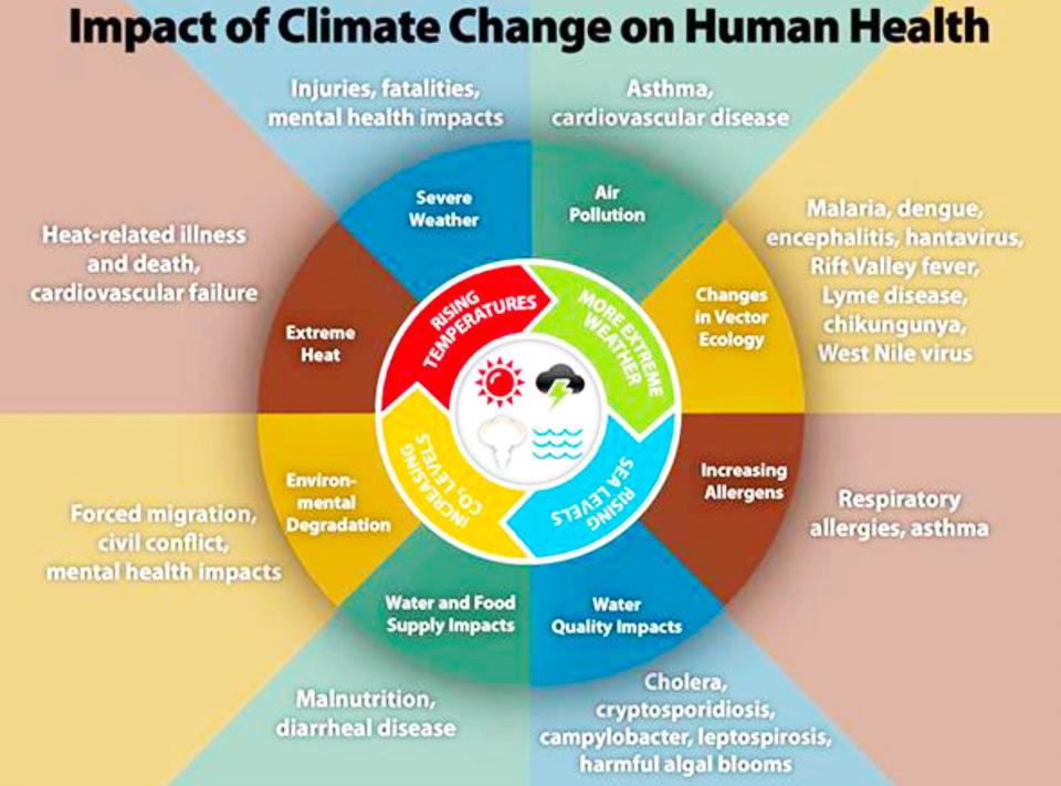 Impact of climate change on health.