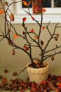 <p>Incorporate branches and acorns into your table decor for an elegant and natural look. </p><p><strong>Get the tutorial at <a rel="nofollow noopener" href="http://turtlesandtails.blogspot.ca/2012/11/fall-tabletop-centerpiece-and-giveaway.html" target="_blank" data-ylk="slk:Turtles and Tails;elm:context_link;itc:0;sec:content-canvas" class="link ">Turtles and Tails</a>. </strong></p>