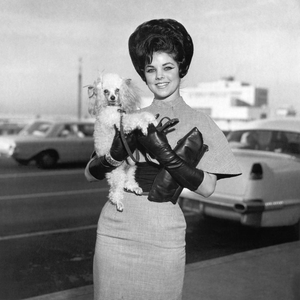 a black and white photo of priscilla presley holding a small dog