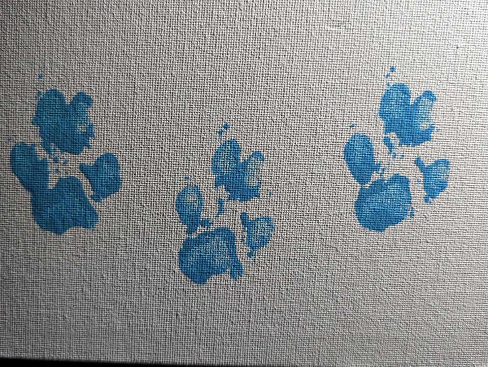 The serval cat's pawprints are stamped on a canvas.
