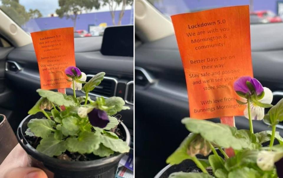 Bunnings Mornington gave a shopper a flowering plant as a gift. 