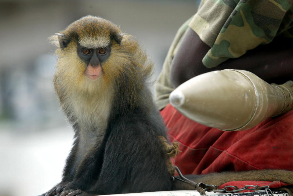 Rebel fighter patrols with a monkey at back of a truck during a visit by an American convoy from the U.S. embassy in Monrovia, which rolled into rebel territory, Monrovia, August 8, 2003. Liberia's rebels added tough new conditions on Friday for opening Monrovia's desperately needed port as aid workers ventured into rebel territory for the first time since fighting erupted in the capital last month. REUTERS/Juda Ngwenya PP03080053 JN/MA