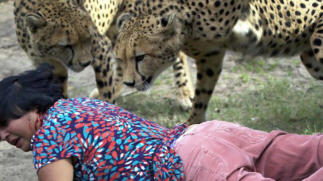 Blood pours from a wound on the back of Mrs D'Mello's head.