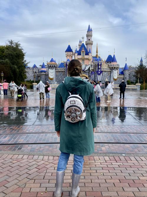 Disney Parks Disneyland Sleeping Beauty Castle Loungefly Backpack