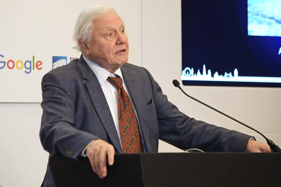 David Attenborough says humans have made a tragic mess of the planet, ahead of his new documentary series. Source: Photo by David M. Benett/Dave Benett/Getty Images.