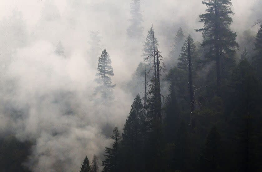 YREKA, CALIF. - AUG. 2 , 2022. The McKinney fire does a slow burn in the Klamath Forest near Yreka on Tuesday, Aug. 2, 2022. The fire in Northern California has charred more than 51,000 acres and killed four people. (Luis Sinco / Los Angeles Times)